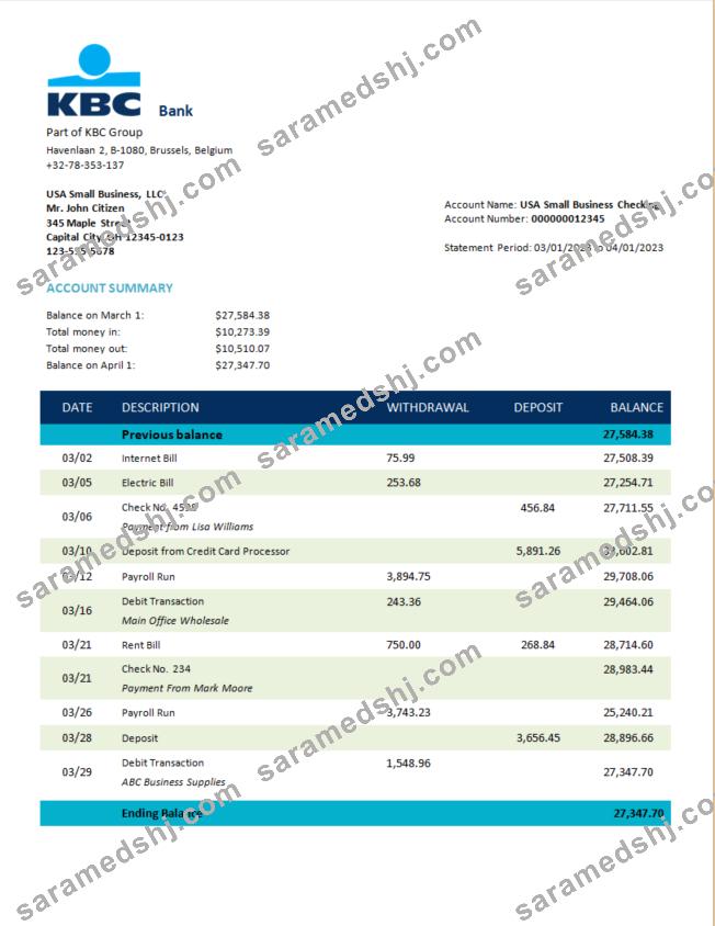 KBC Bank corporate account statement Word and PDF template